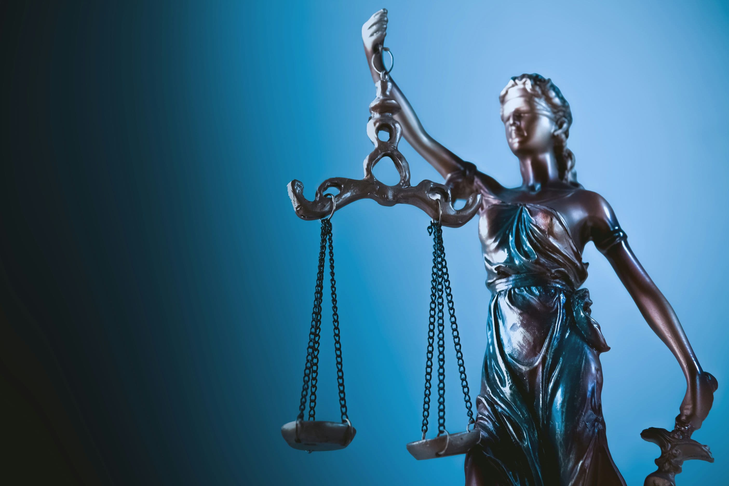 Dispute Settlement & Litigation Services